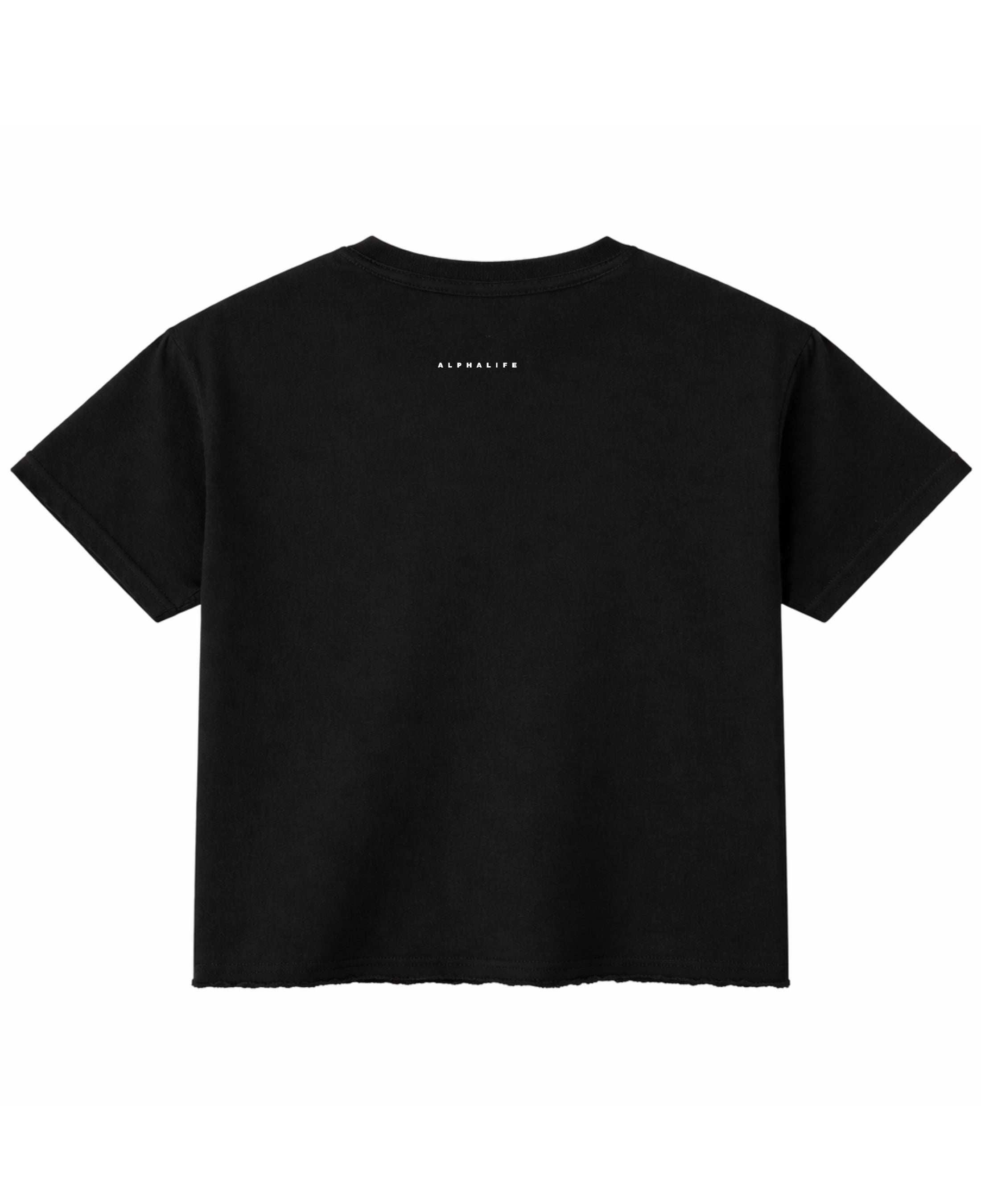 ALPHALIFE BASIC BOX T – AlphaLife Apparels